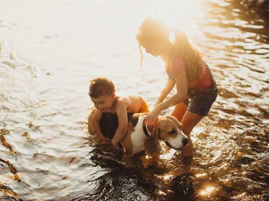 Kids and dog playing in the water